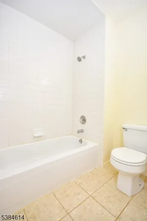 a bathroom with a bathtub and a toilet