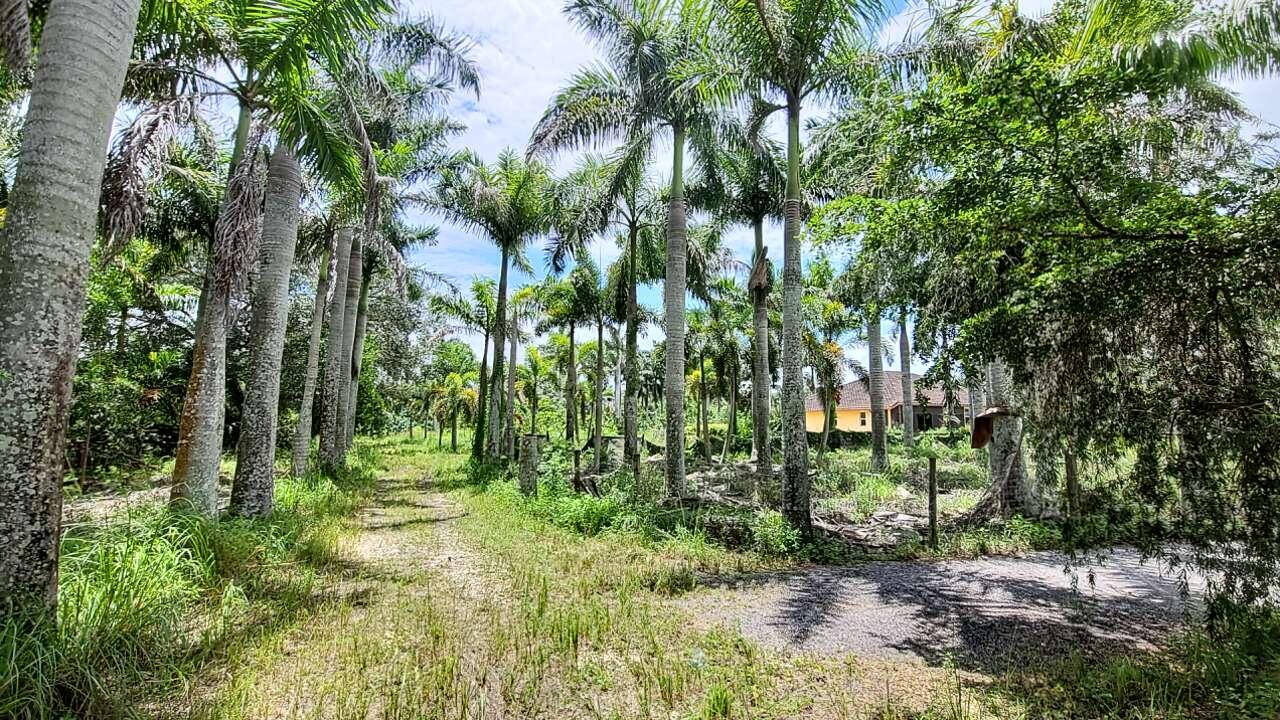 4095 Windmill Road Loxahatchee, FL 33470 - Photo 13 of 16 13_beyc6a33e91b155bb