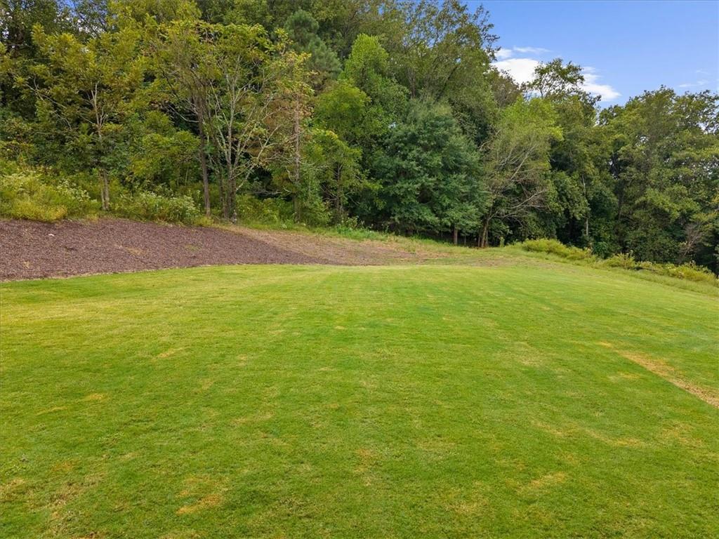386 Haley Farm Road Canton, GA 30115 - Photo 96 of 100 Gallery Image 96