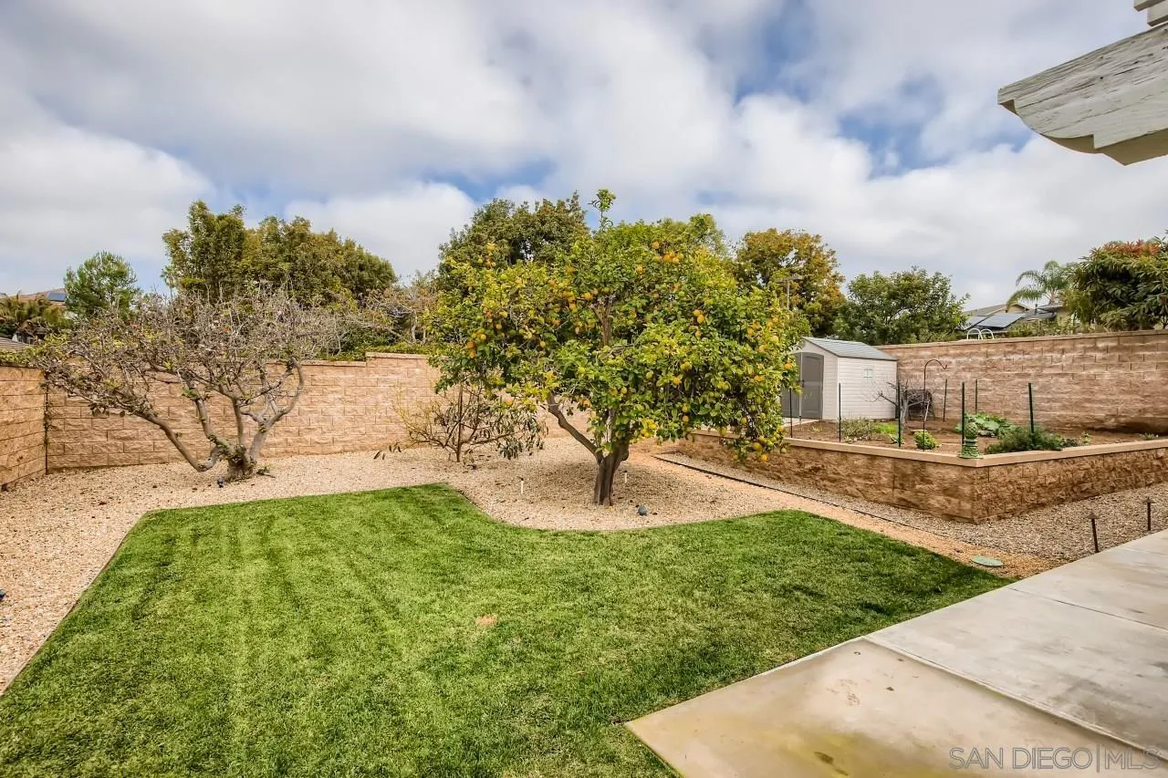 3965 Packard Lane Carlsbad, CA 92008 - Photo 28 of 32 a view of a garden with a bench in the back yard
