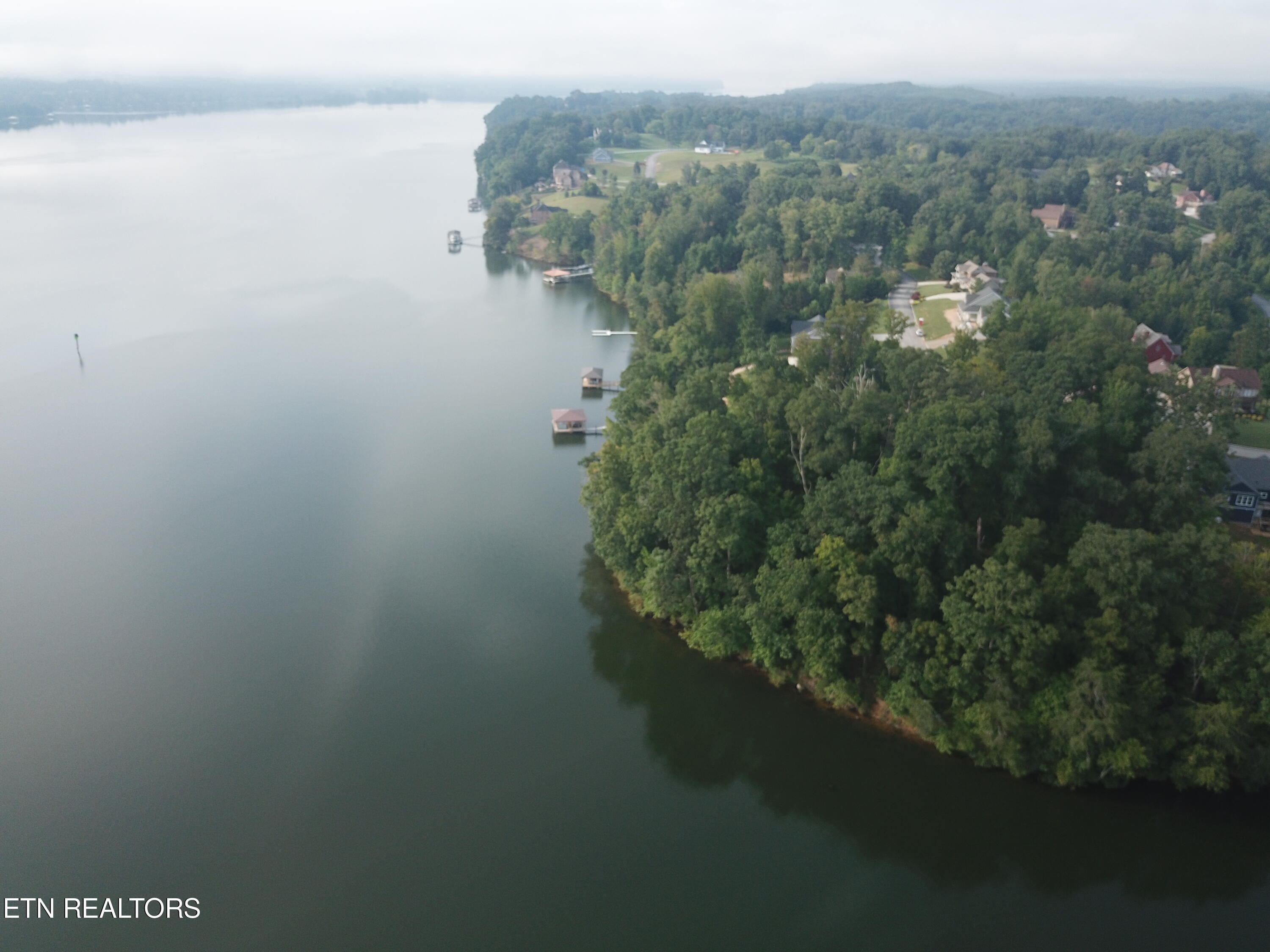 1650 Aslinger Road Sale Creek, TN 37373 - Photo 4 of 10 DJI_fd0032 (1)