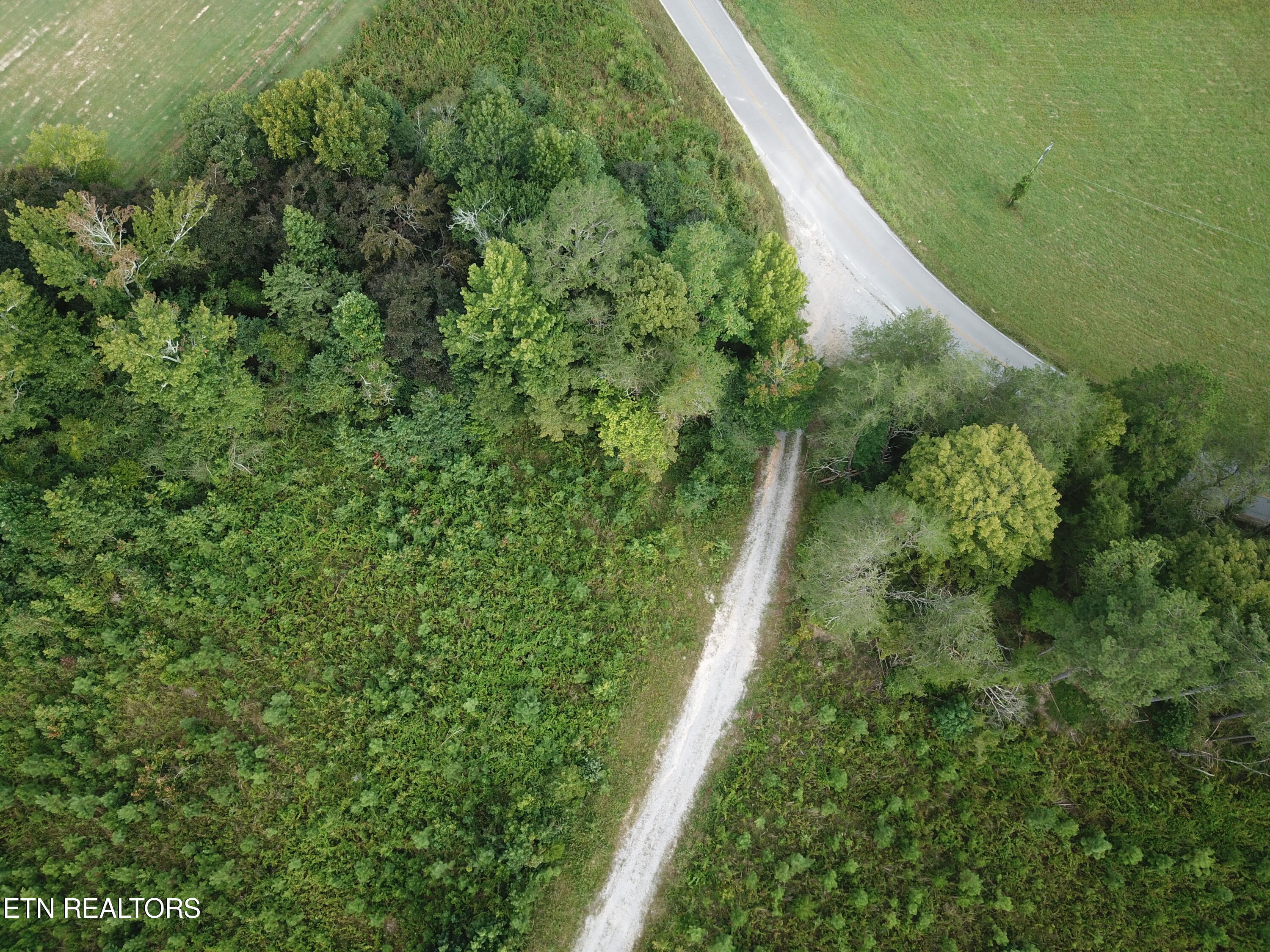 1650 Aslinger Road Sale Creek, TN 37373 - Photo 5 of 10 DJI_fd0041 (1)