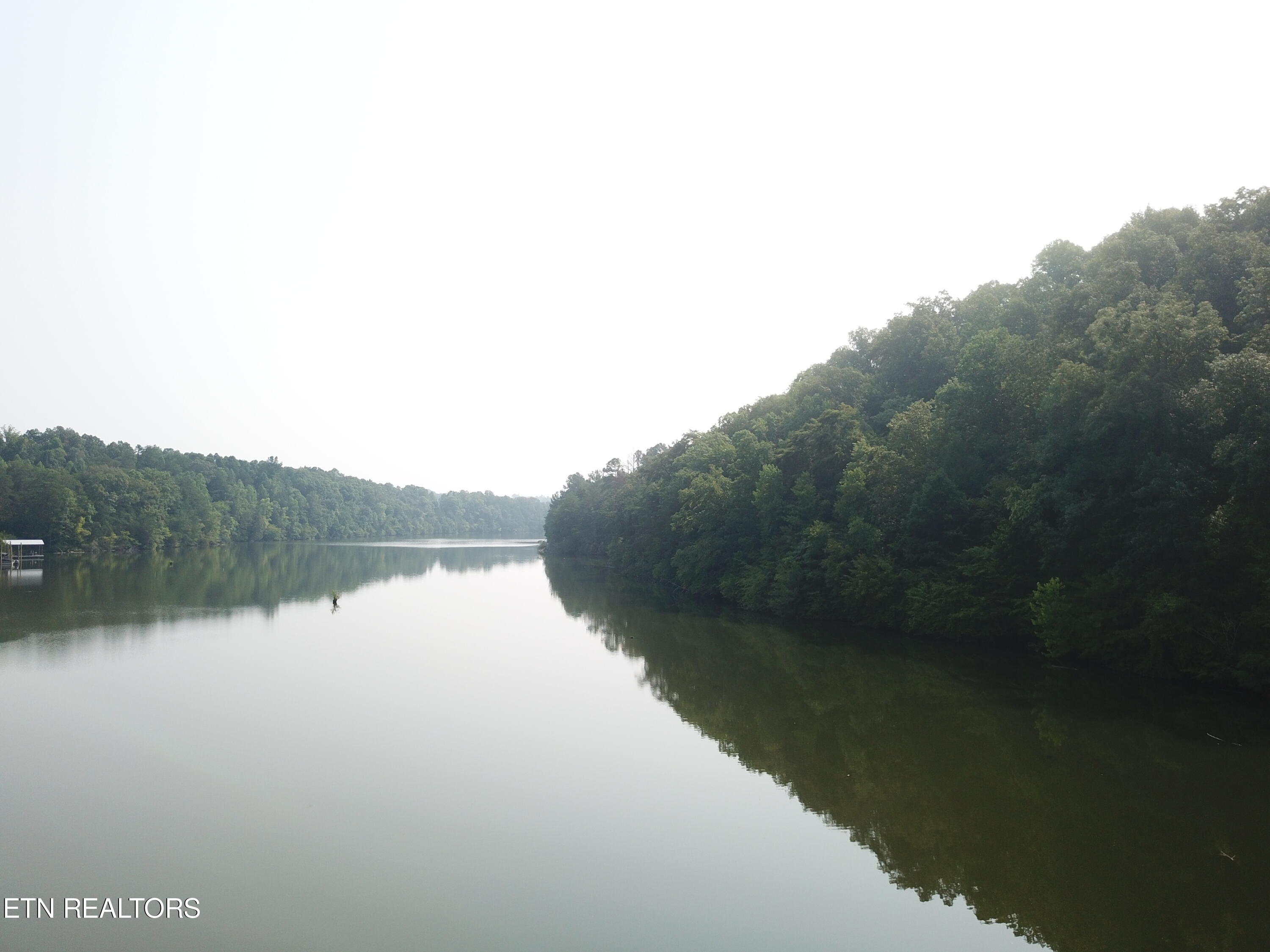 1650 Aslinger Road Sale Creek, TN 37373 - Photo 6 of 10 DJI_0084