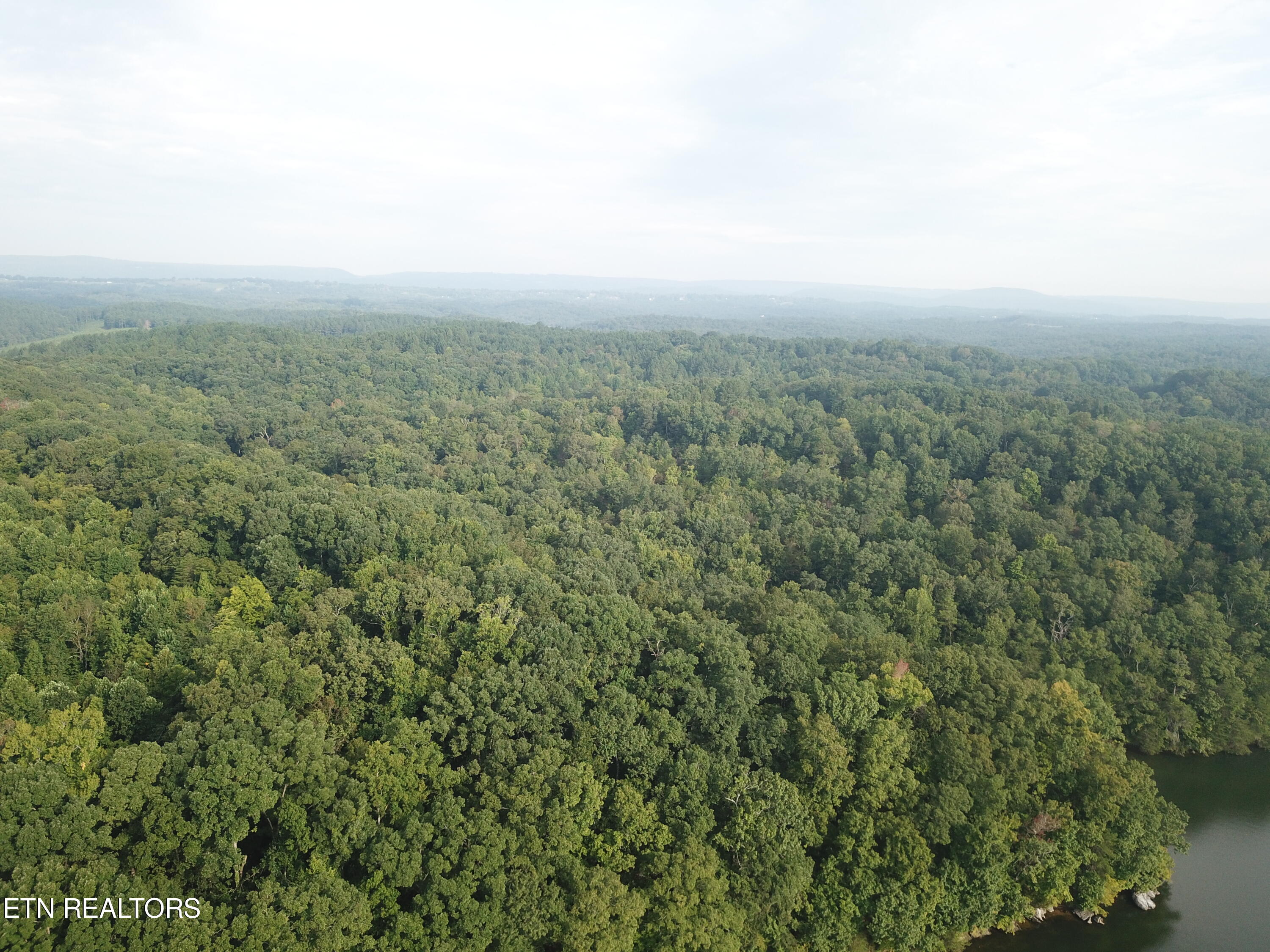 1650 Aslinger Road Sale Creek, TN 37373 - Photo 9 of 10 DJI_fd0014 (1)