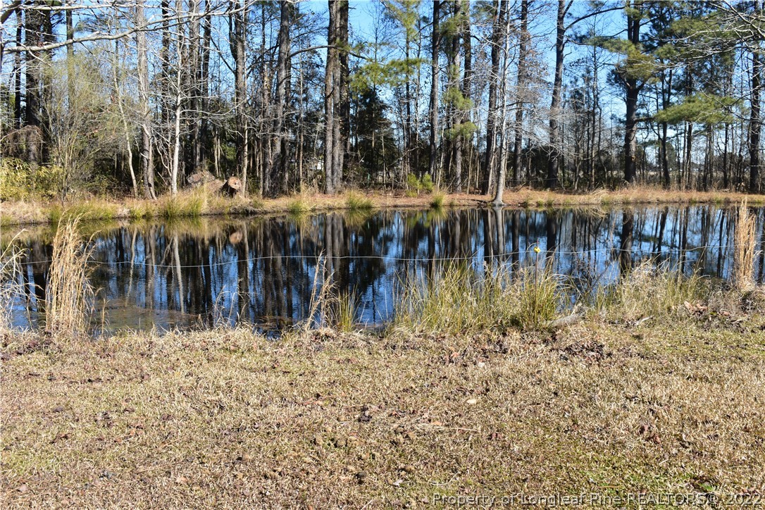 291 Lane Road Dunn, NC 28334 - Photo 41 of 41 Gallery Image 41
