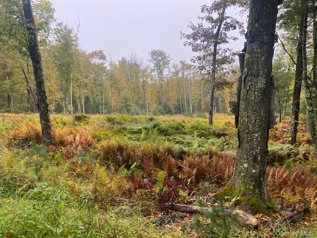 Lot #2 Old Forestburgh Road Sparrowbush, NY 12780 - Photo 16 of 17 a view of a yard with trees