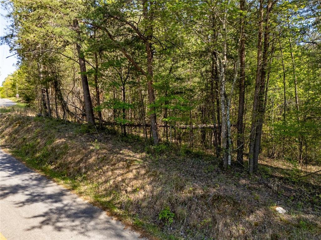 0 Talc Mine Road Jasper, GA 30143 - Photo 7 of 30 a view of outdoor space and trees