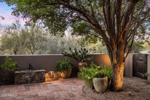 a view of a backyard with plants and plants