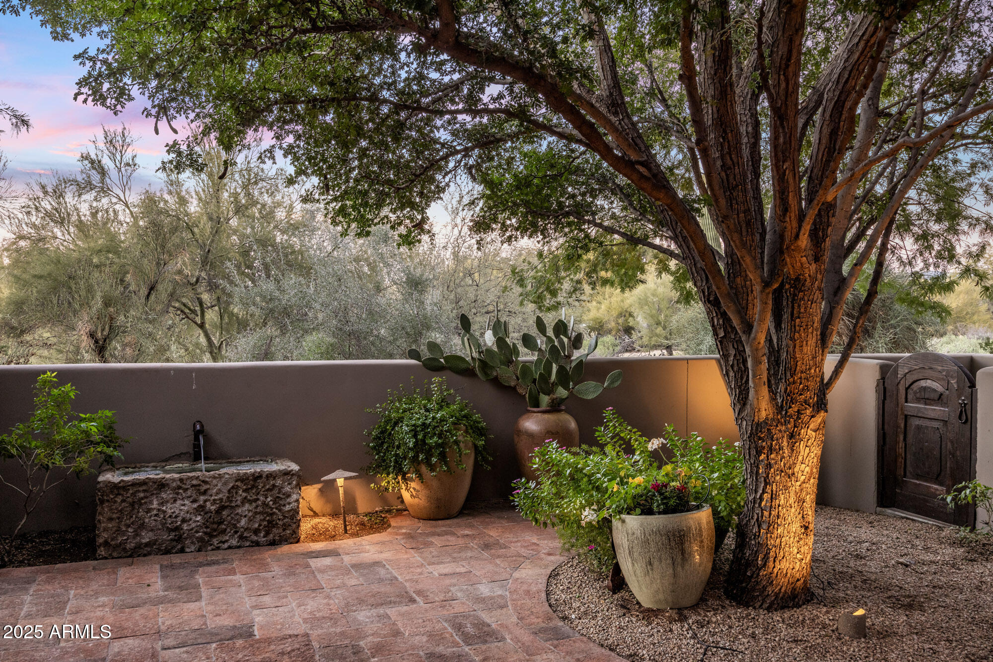 8300 East Dixileta Drive, Unit 211 Scottsdale, AZ 85266 - Photo 6 of 35 a view of a backyard with plants and plants