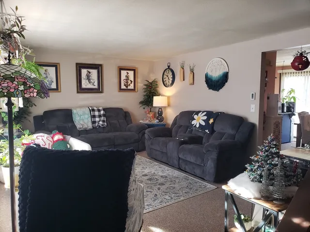 a living room with furniture flowerpot and a potted plant
