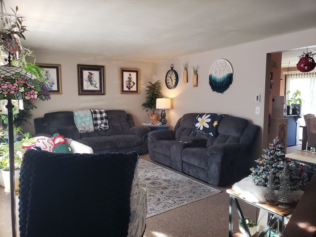 81-83 Motyka Street Ludlow, MA 01056 - Photo 5 of 20 a living room with furniture flowerpot and a potted plant