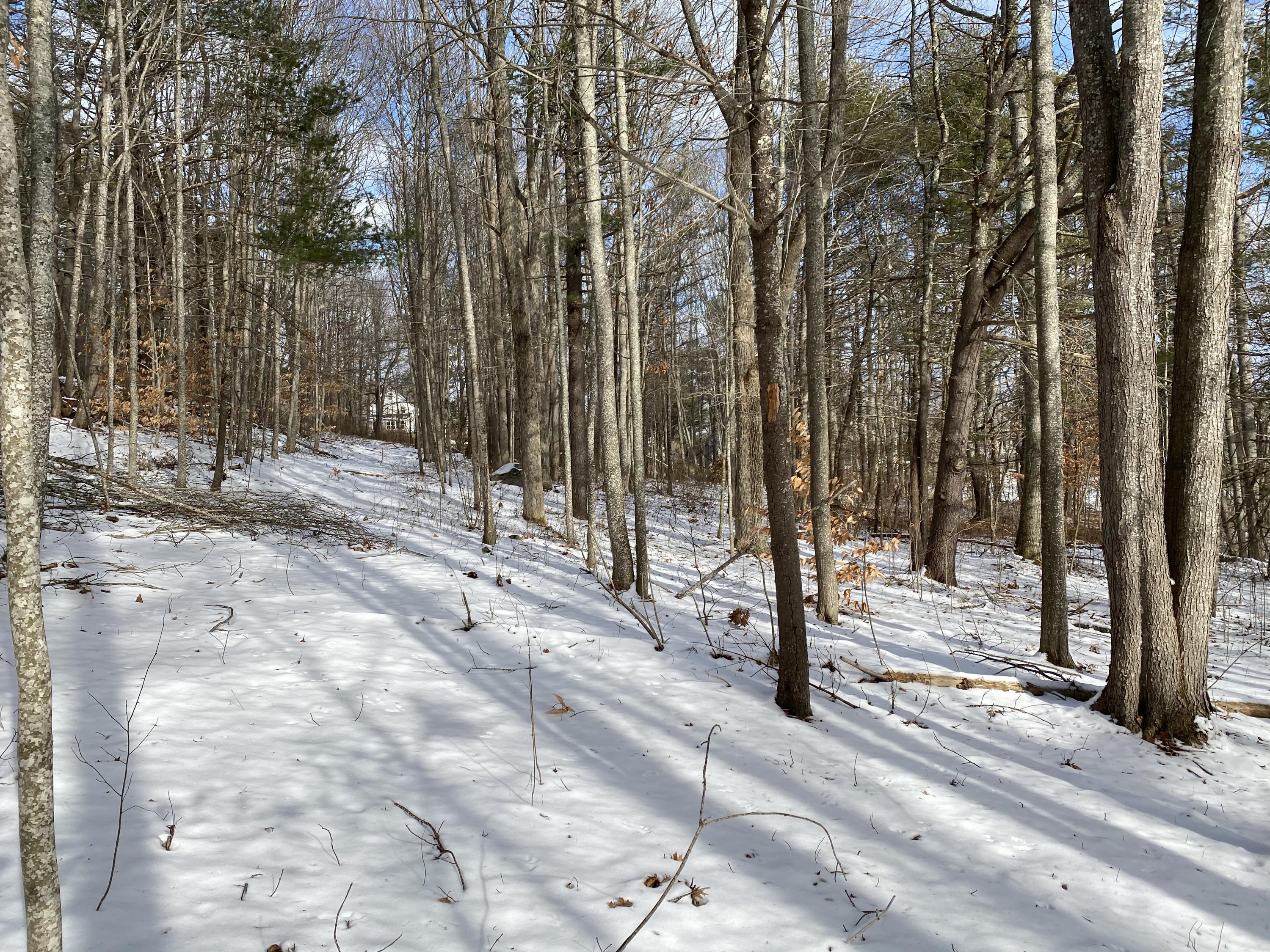 34 North Old Sheepscot Road Alna, ME 04535 - Photo 11 of 14 IMG_2885