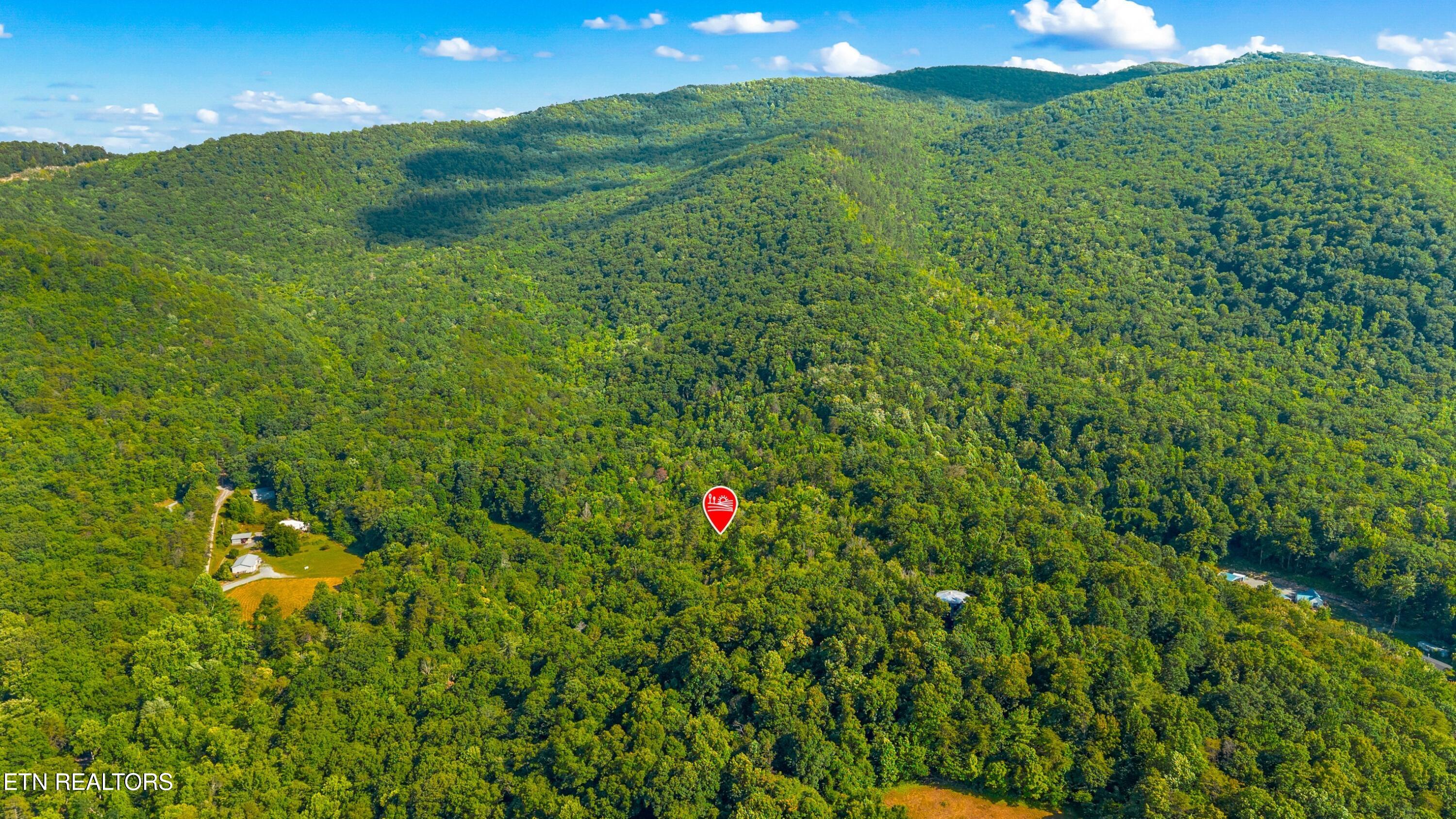 1549 Halls Top Road Newport, TN 37821 - Photo 5 of 9 003-1549HallsTopRd-Newport-TN-37821-SMAL