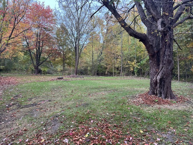 6742 Warren - Sharon Road Brookfield, OH 44403 - Photo 1 of 16 View of yard