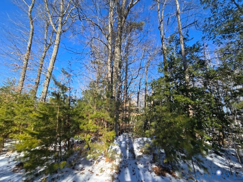 0 Tabscott Road Kents Store, VA 23084 - Photo 12 of 16 Wooded landscape featuring mature deciduous trees