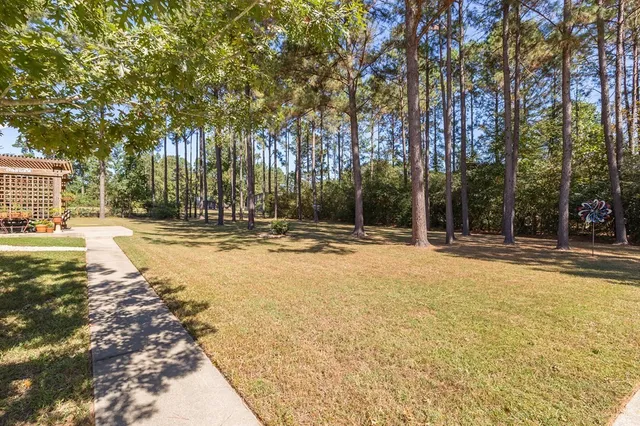 a view of swimming pool with large trees and wooden fence