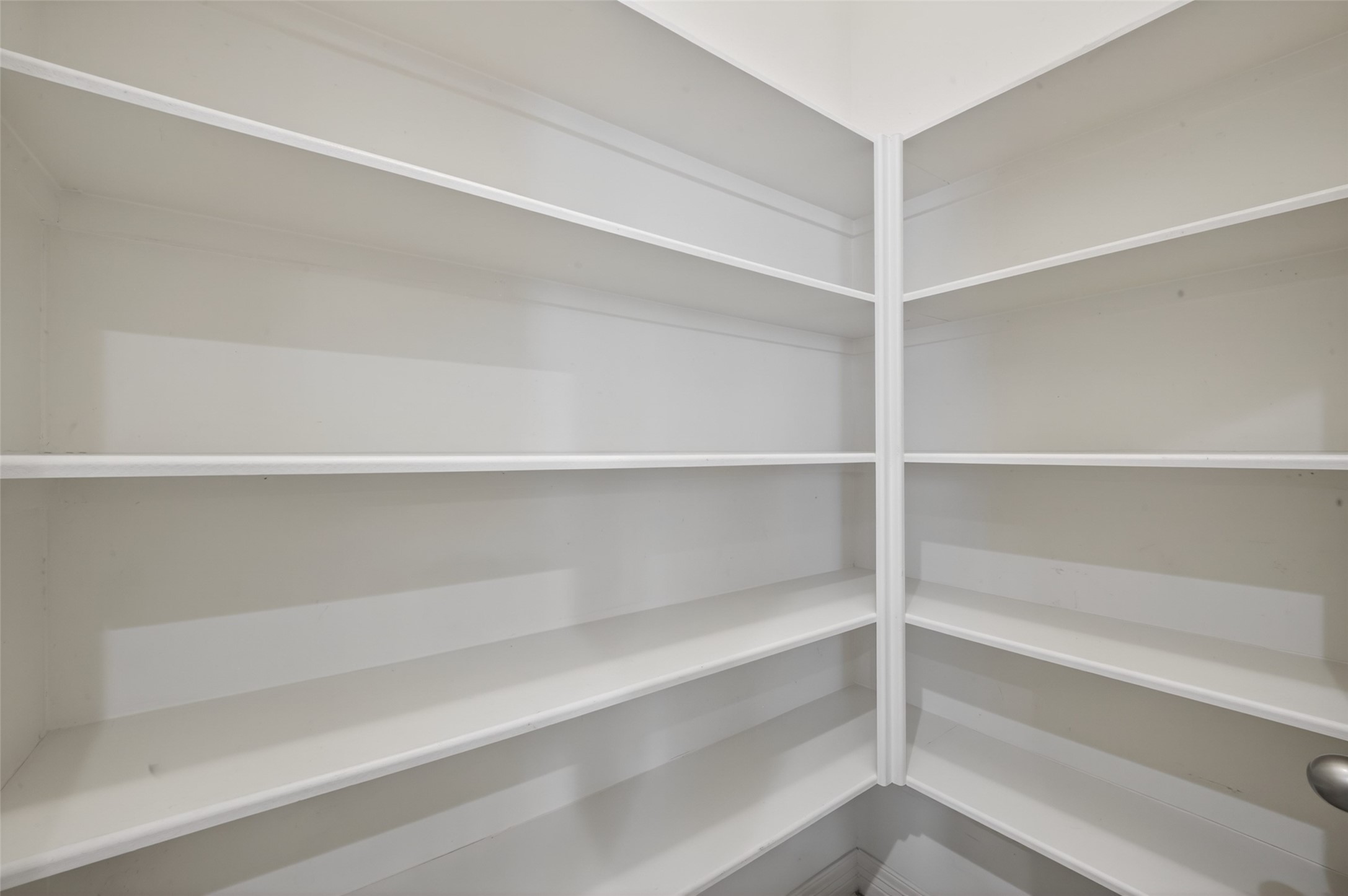 1807 Stacy Crest Houston, TX 77008 - Photo 18 of 35 a view of walk in closet with empty racks