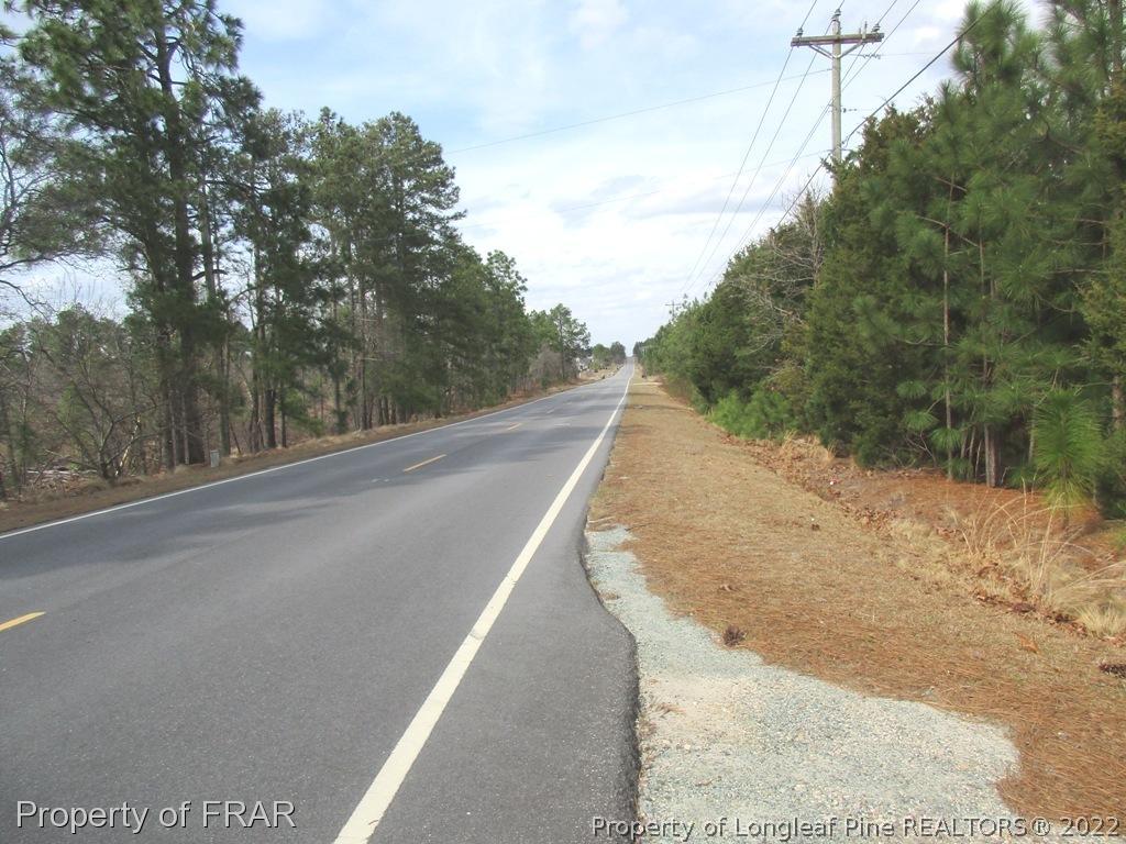 2181 Tingen Road Lillington, NC 27546 - Photo 2 of 36 a view of a road with a trees