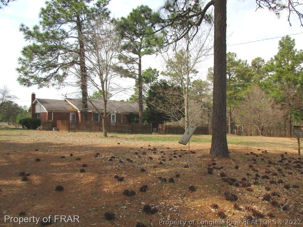 2181 Tingen Road Lillington, NC 27546 - Photo 9 of 36 a view of dirt yard with a tree