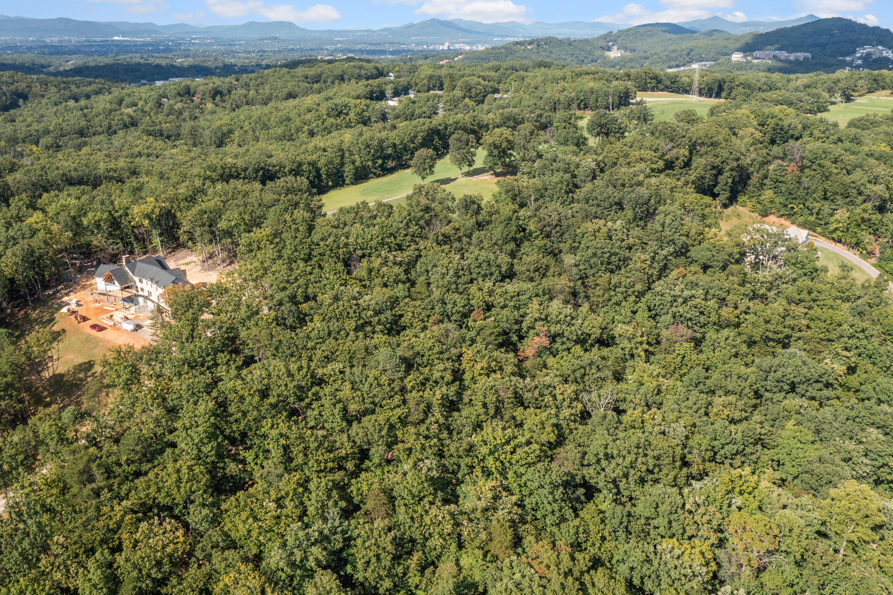 Lot A1 Hunt Camp Road Roanoke, VA 24018 - Photo 4 of 4 a view of a forest with a city