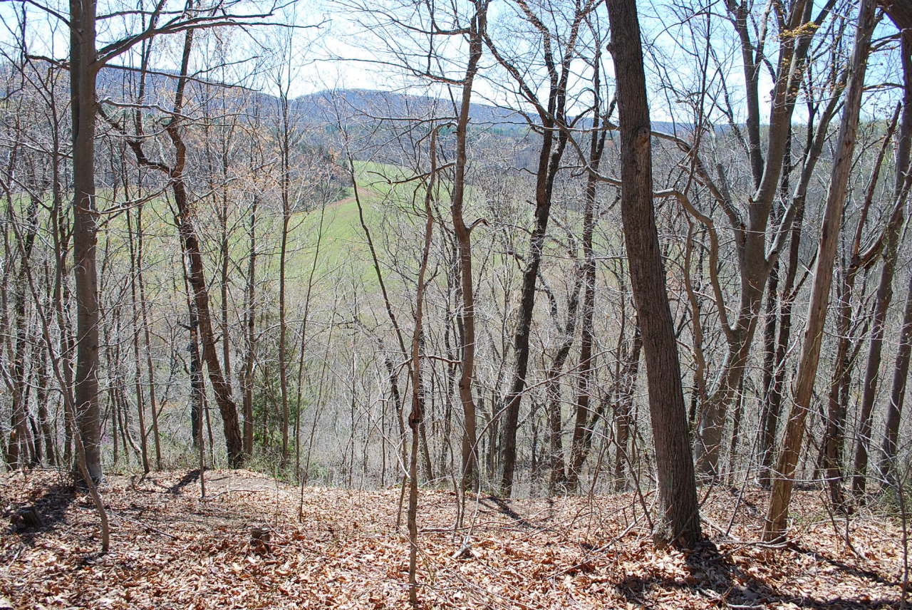 444 Iron Ridge Road Rocky Mount, VA 24151 - Photo 30 of 34 a view of a backyard