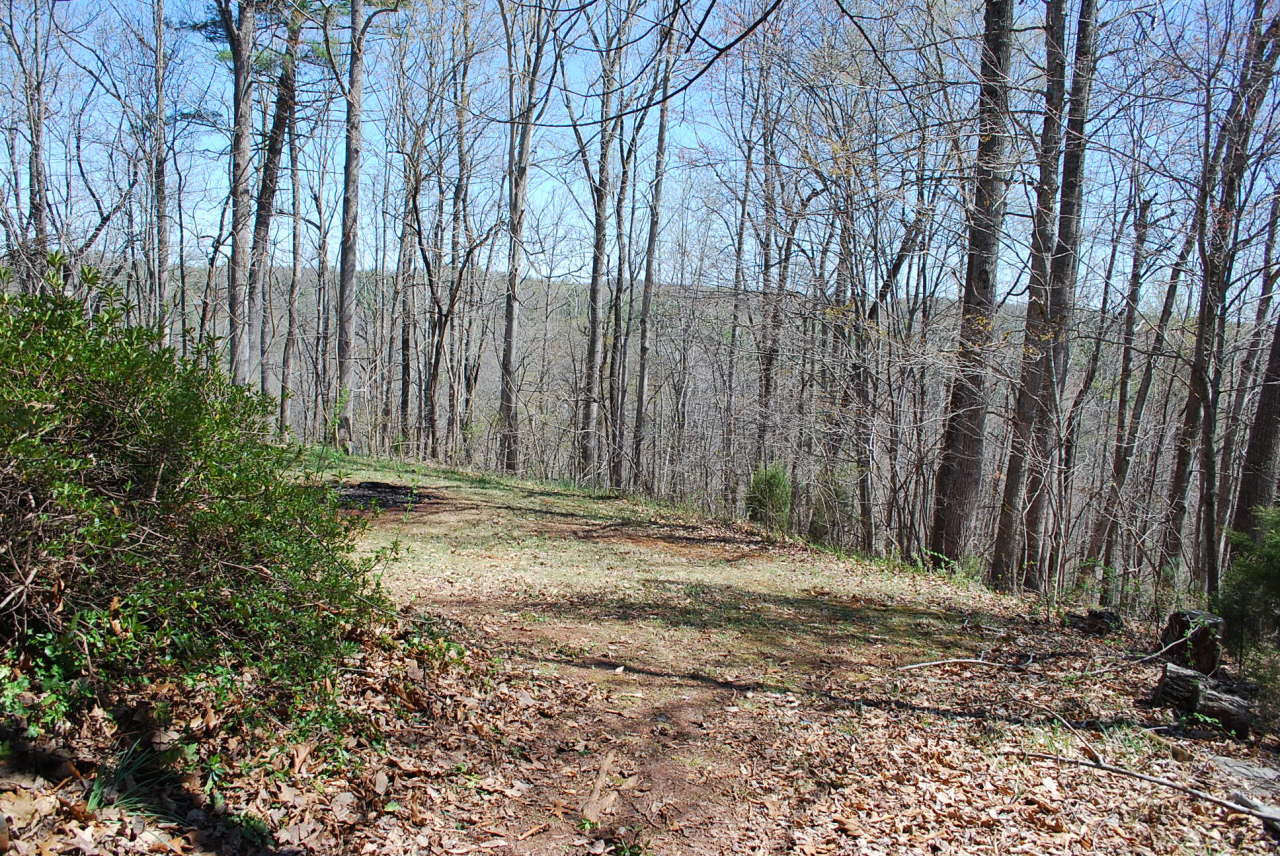 444 Iron Ridge Road Rocky Mount, VA 24151 - Photo 31 of 34 a view of a backyard with pathway