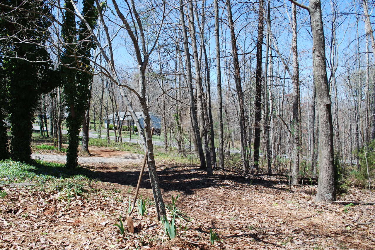 444 Iron Ridge Road Rocky Mount, VA 24151 - Photo 32 of 34 a backyard of a house with lots of green space