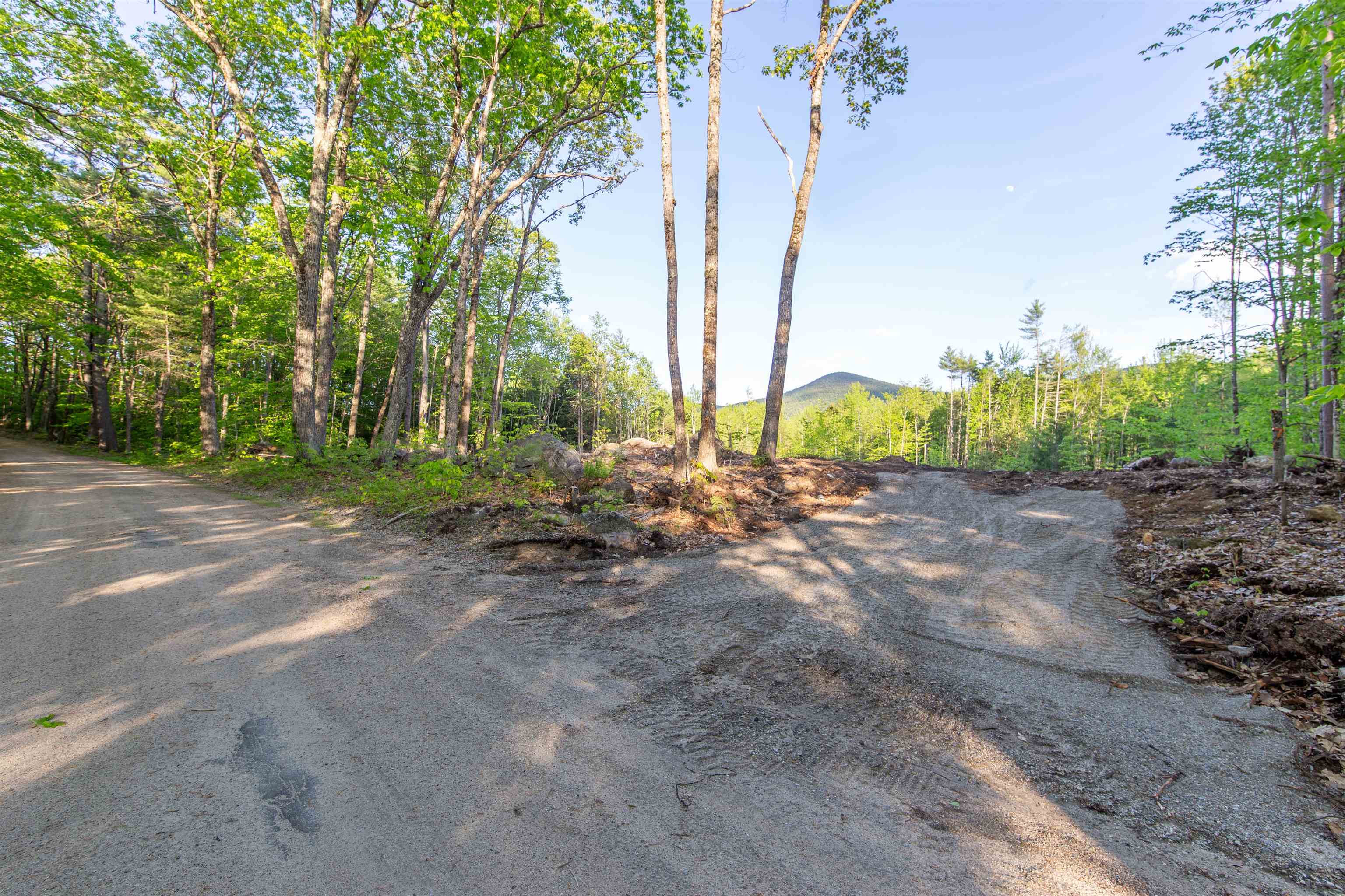 0 Elijah Beede Road Sandwich, NH 03227 - Photo 5 of 28