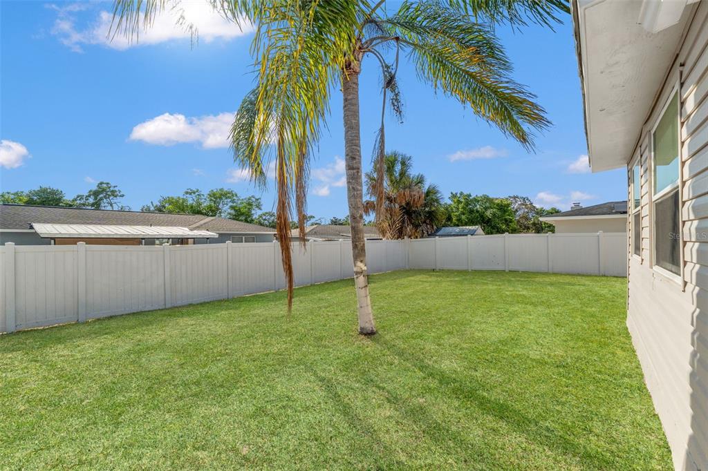 6602 Treehaven Drive Spring Hill, FL 34606 - Photo 16 of 19