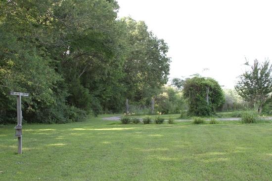 340 Sickler Road Hohenwald, TN 38462 - Photo 3 of 9 Gallery Image 3