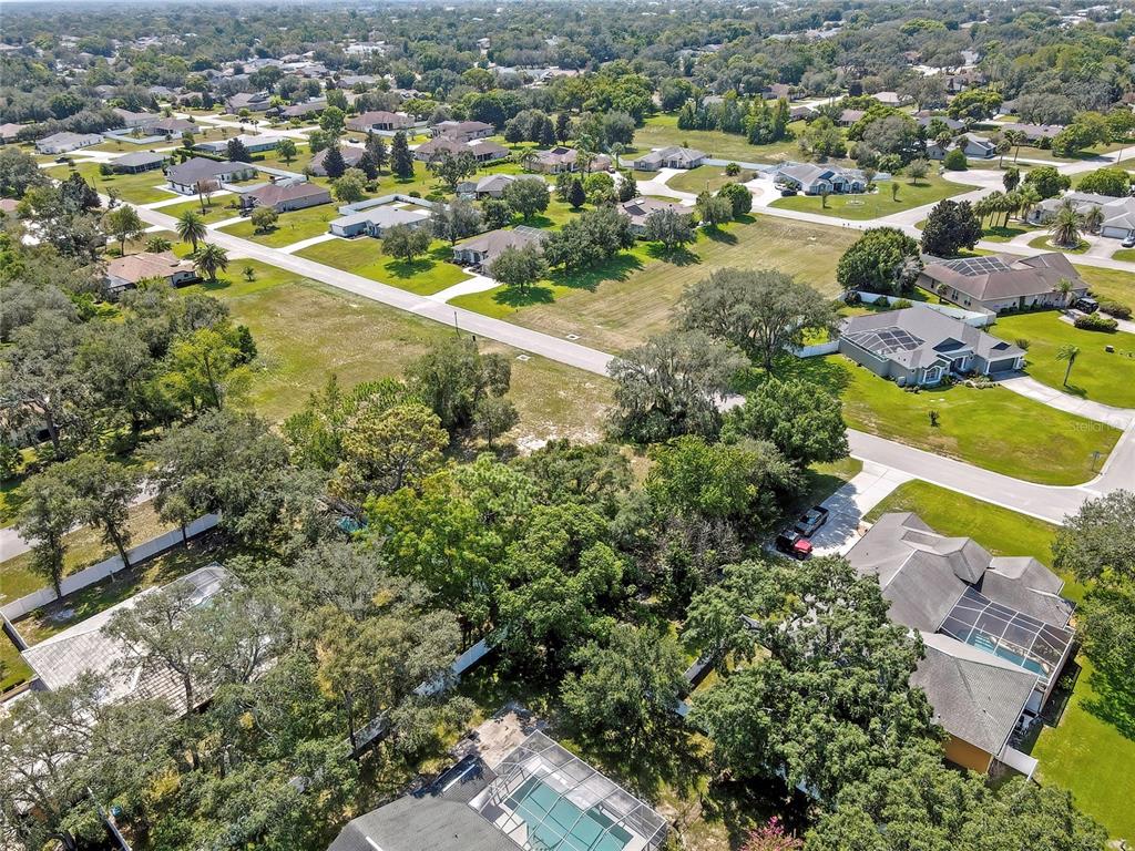 9 Deer Street Spring Hill, FL 34608 - Photo 5 of 8 Gallery Image 5