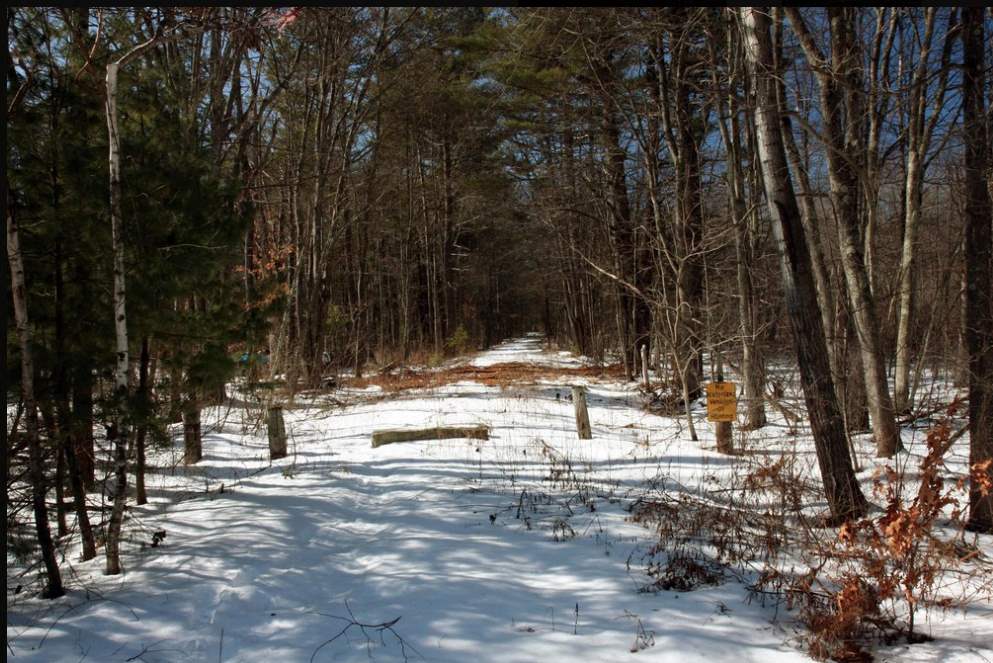 233 County Road Bedford, NH 03110 - Photo 31 of 31