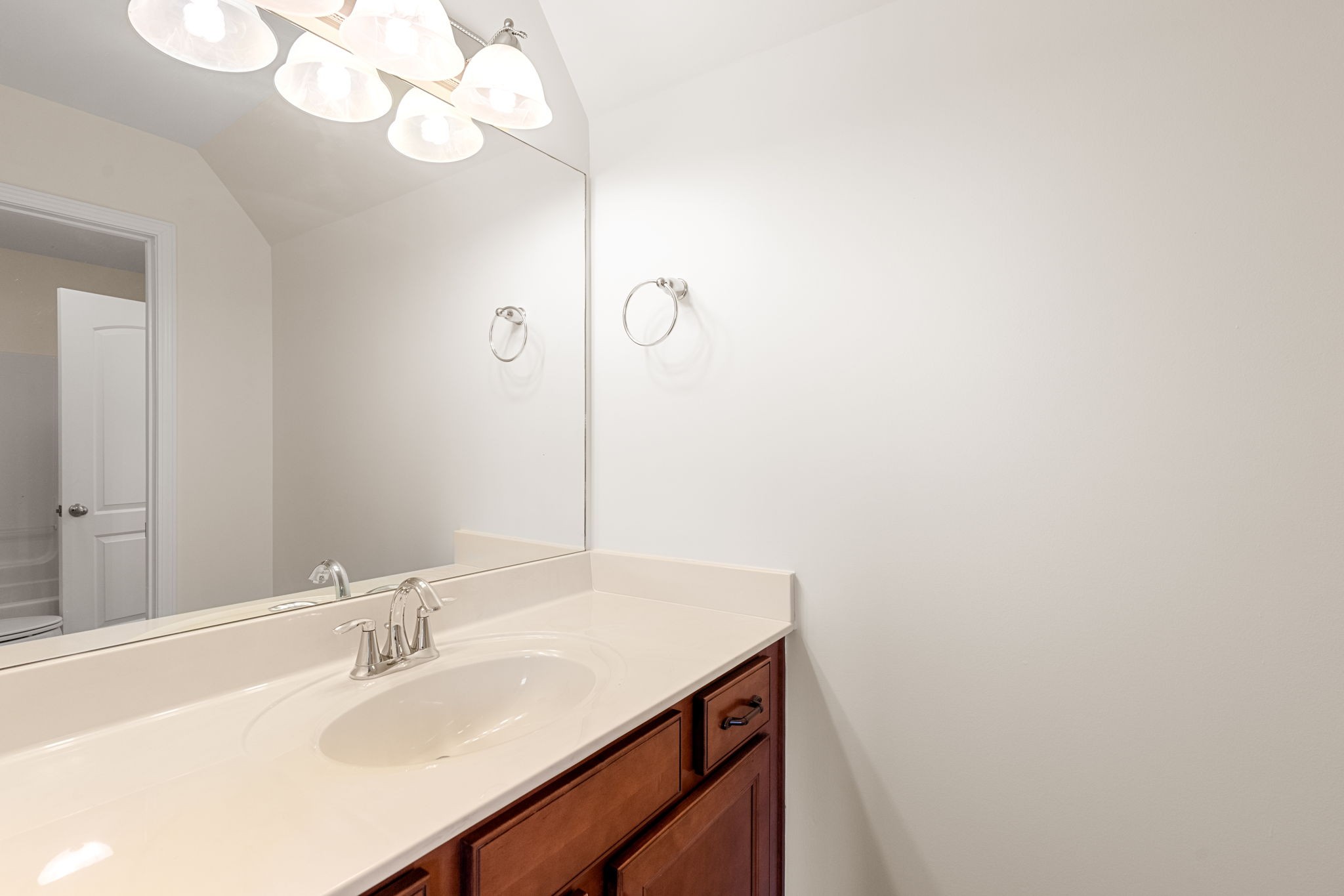 114 Wise Road Franklin, TN 37064 - Photo 31 of 57 Jack-n-Jill Bath Vanity #1