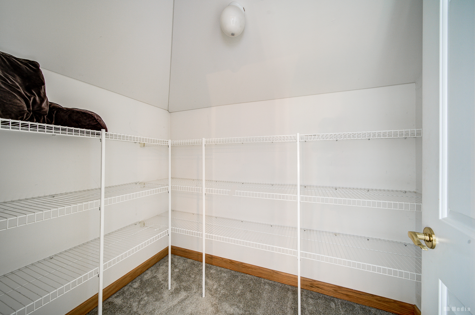 13100 Fox Lane Lemont, IL 60439 - Photo 46 of 98