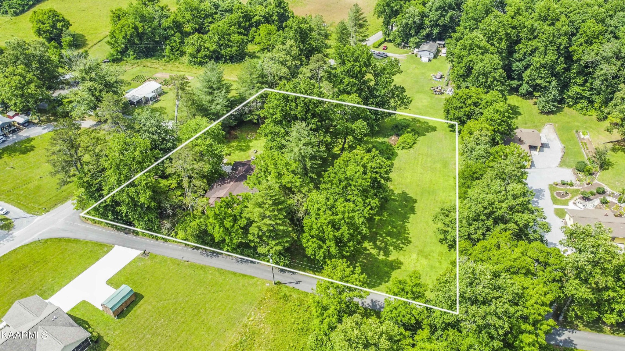 1104 Blockhouse Valley Road Clinton, TN 37716 - Photo 34 of 56 a view of a yard with a plant