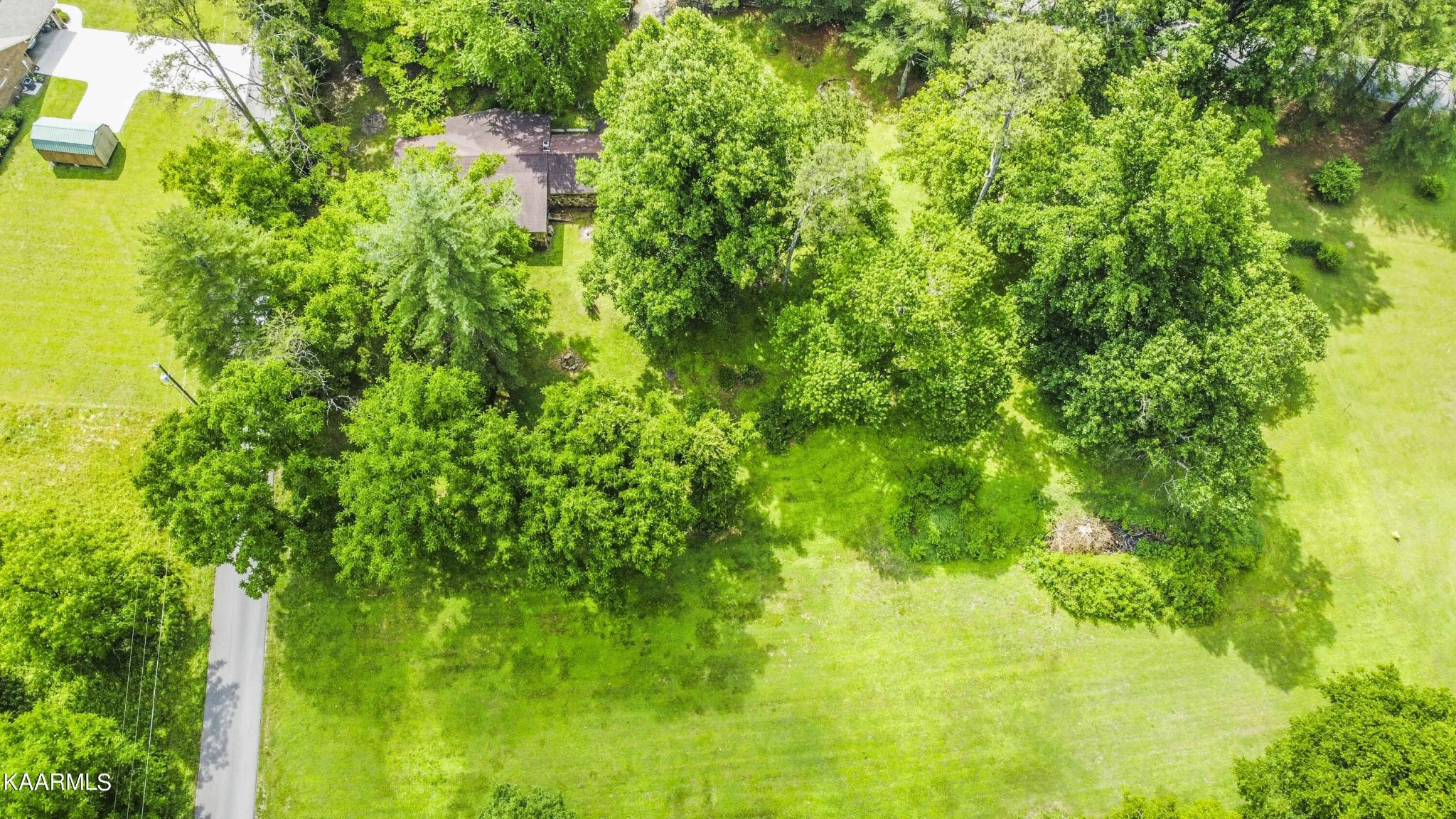 1104 Blockhouse Valley Road Clinton, TN 37716 - Photo 36 of 56 a view of a big yard with plants and large trees