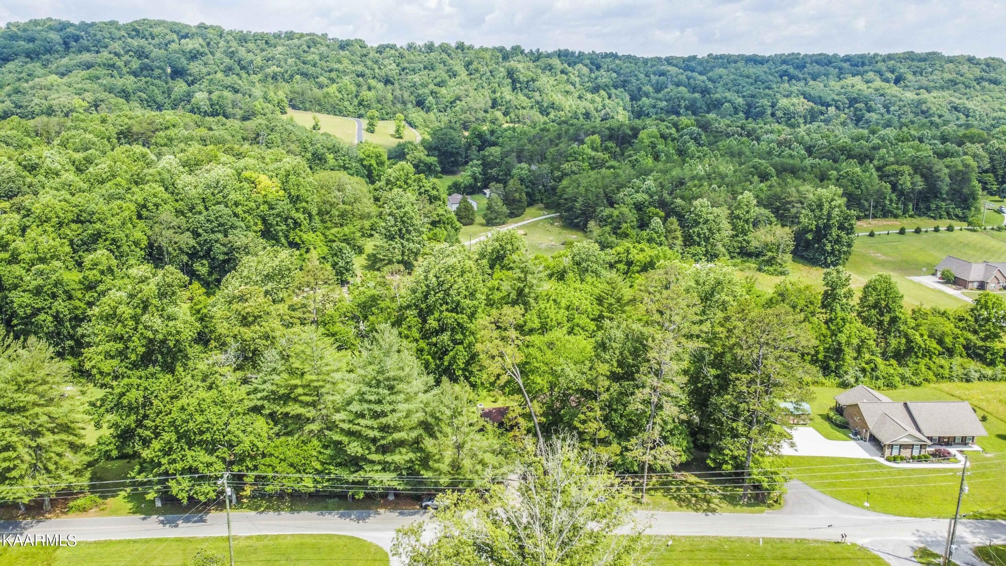 1104 Blockhouse Valley Road Clinton, TN 37716 - Photo 39 of 56 a view of a garden with a lake