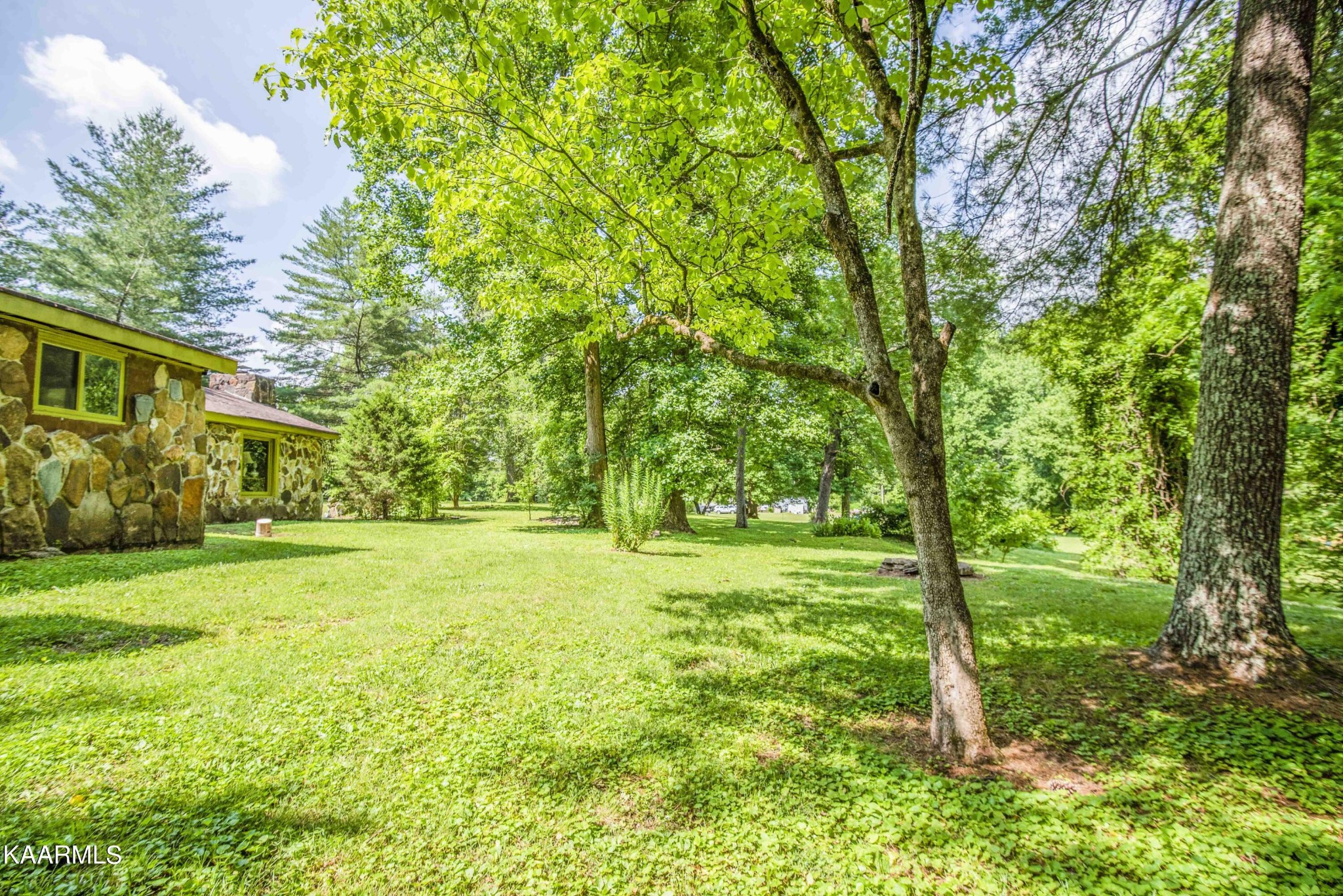 1104 Blockhouse Valley Road Clinton, TN 37716 - Photo 54 of 56 a view of a yard with a tree
