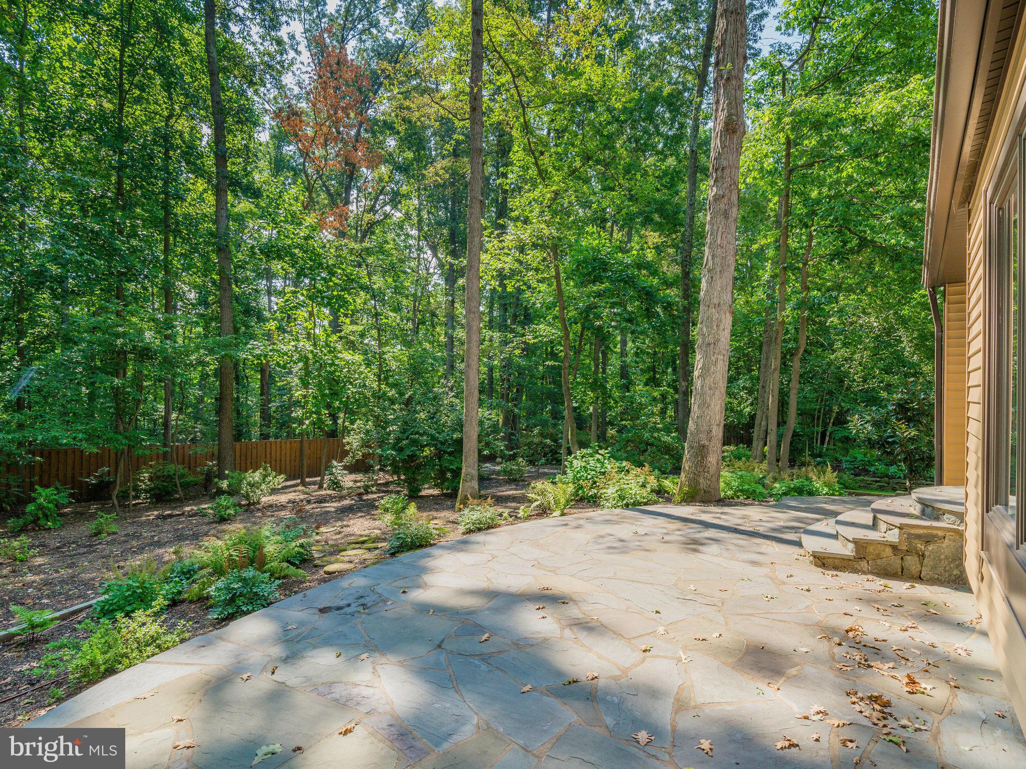 2437 Freetown Drive Reston, VA 20191 - Photo 6 of 30 a pathway of a yard with of trees