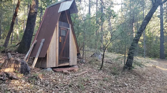 a view of a backyard