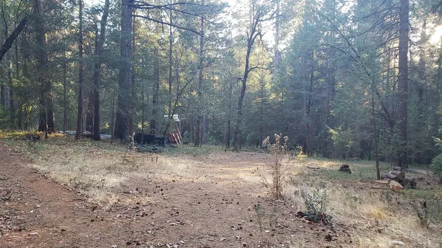 a view of a backyard with trees