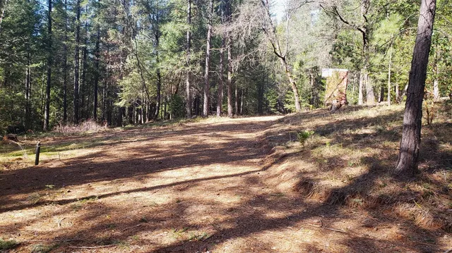a view of dirt yard with a trees