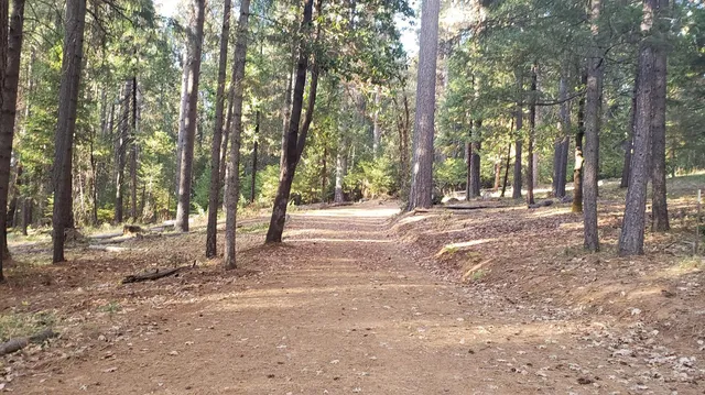 a view of dirt yard with trees