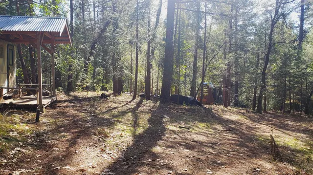 a view of outdoor space with trees