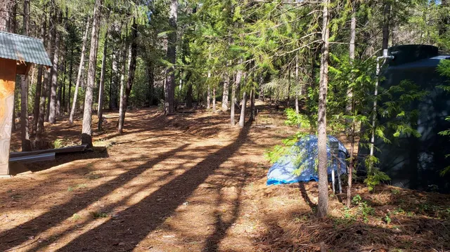 a view of outdoor space and covered with trees