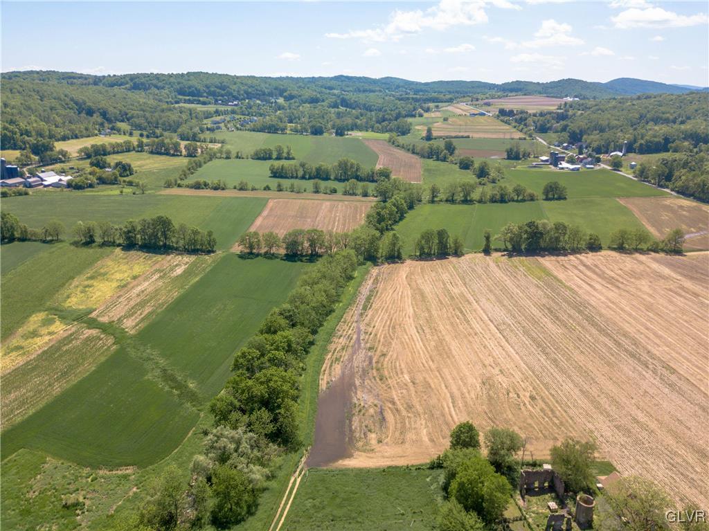 50 Durham Road Easton, PA 18042 - Photo 26 of 31 an aerial view of green landscape with trees houses and mountain view