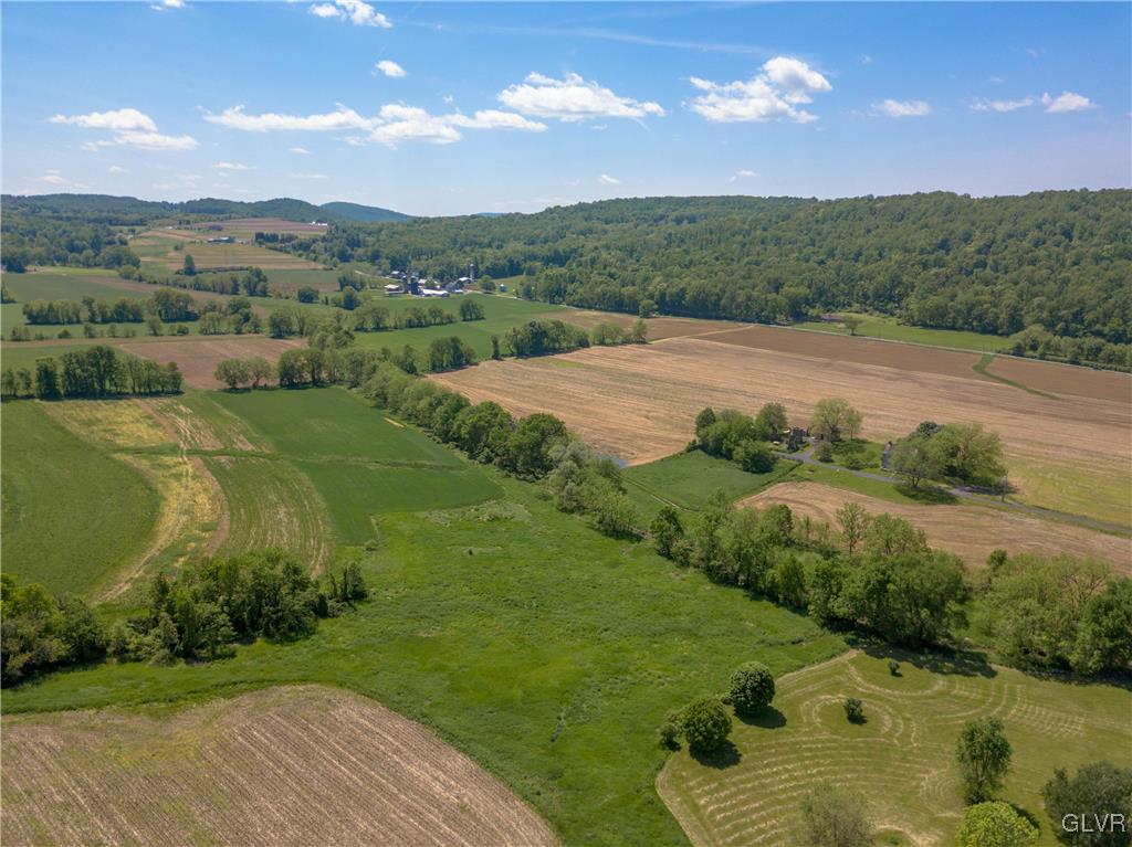 50 Durham Road Easton, PA 18042 - Photo 28 of 31 a view of an outdoor space and mountain view