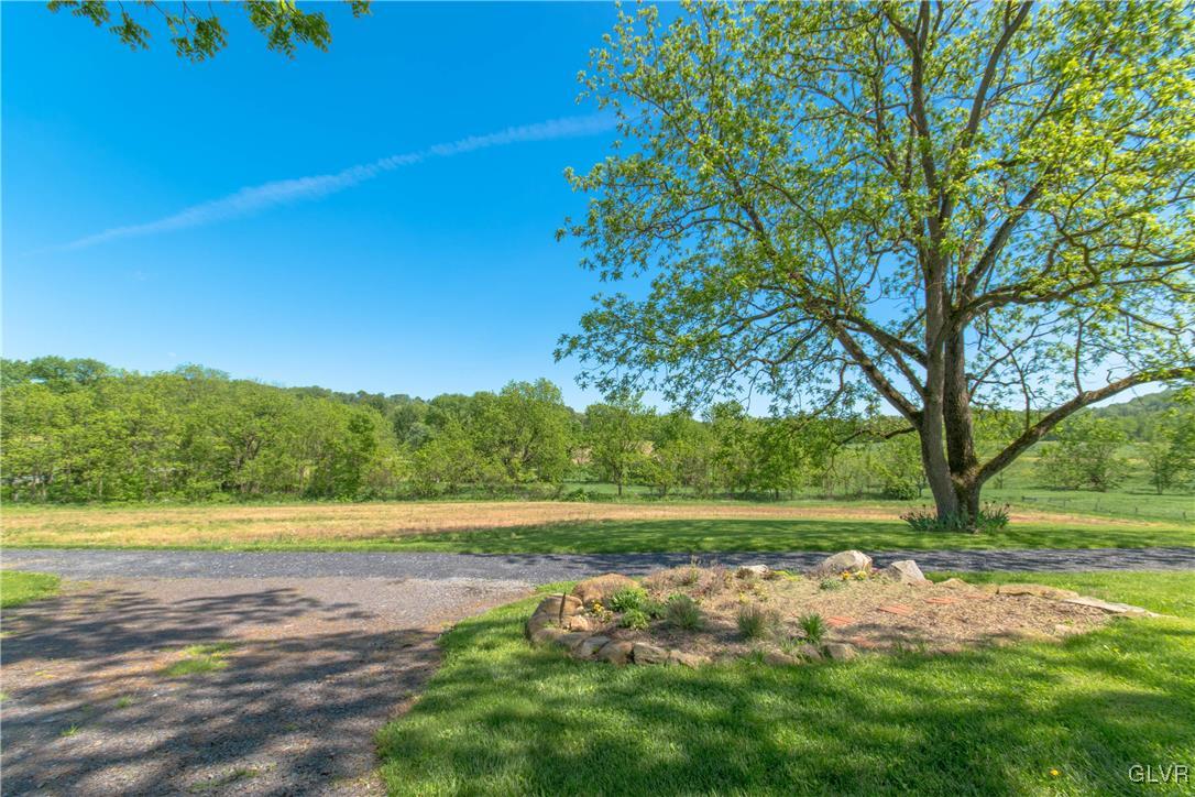 50 Durham Road Easton, PA 18042 - Photo 31 of 31 a view of a yard with an trees