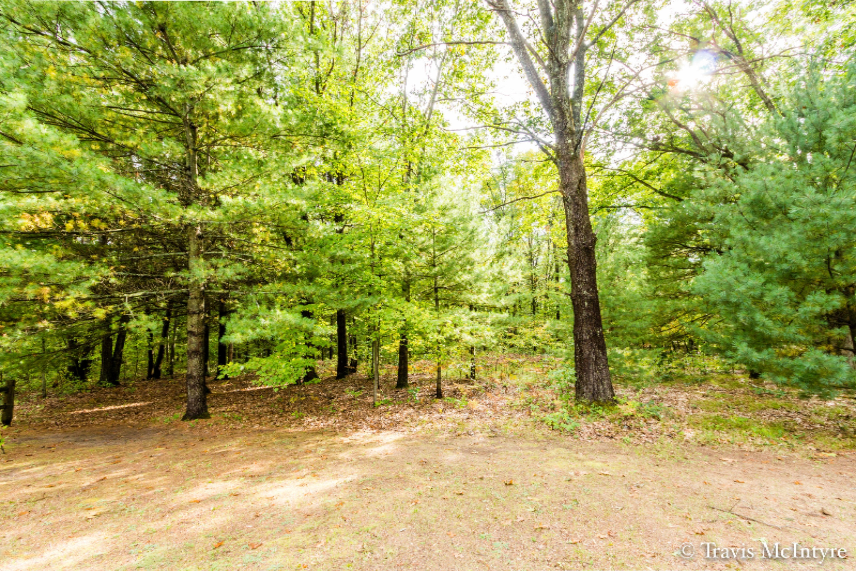 23719 Cutler Road Newaygo, MI 49337 - Photo 33 of 34 Cutler Rd-12