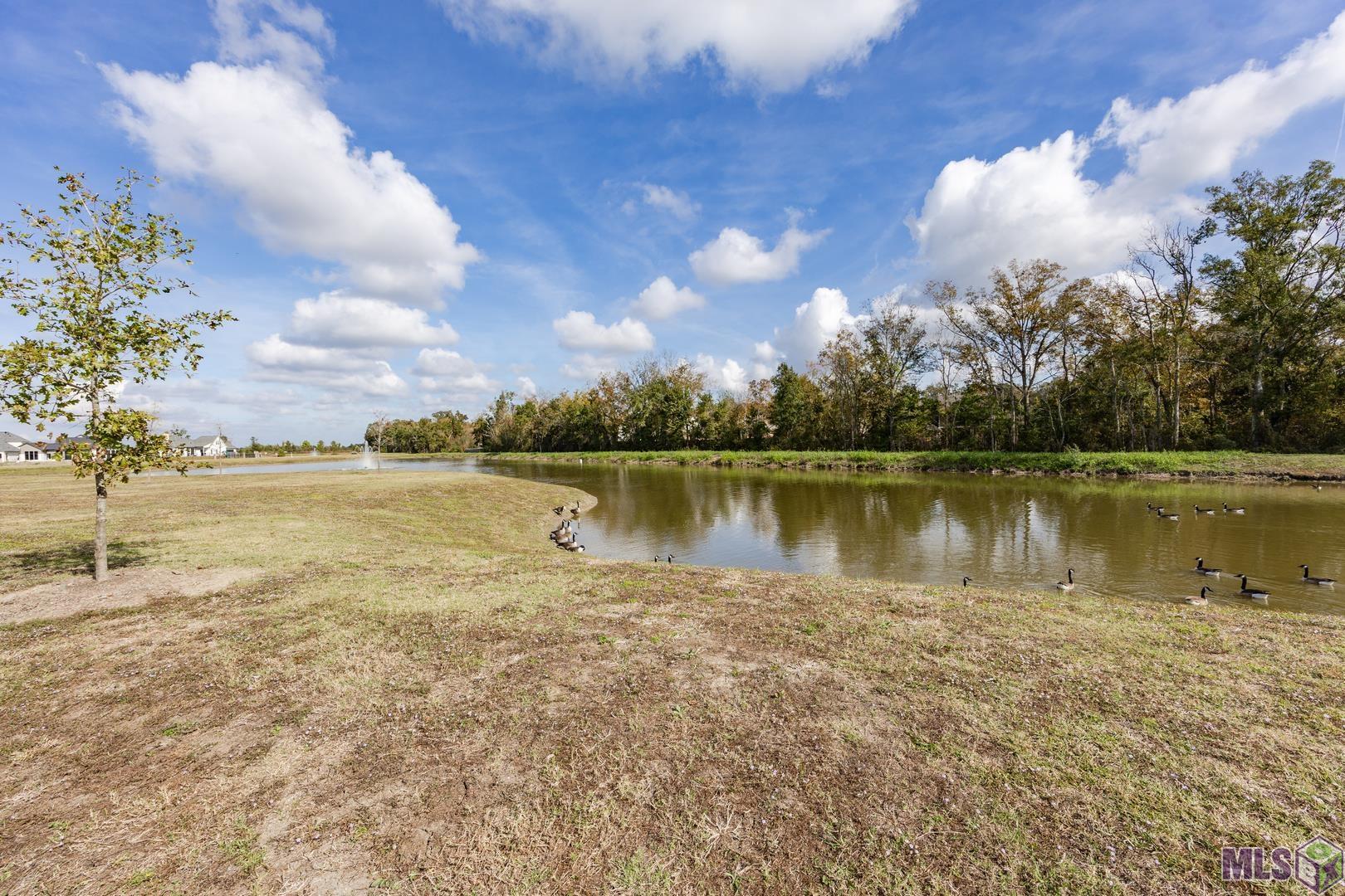 2524 Tarn Avenue Baton Rouge, LA 70810 - Photo 21 of 44